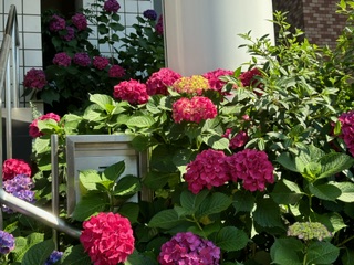 土曜日もエキサイティング☆