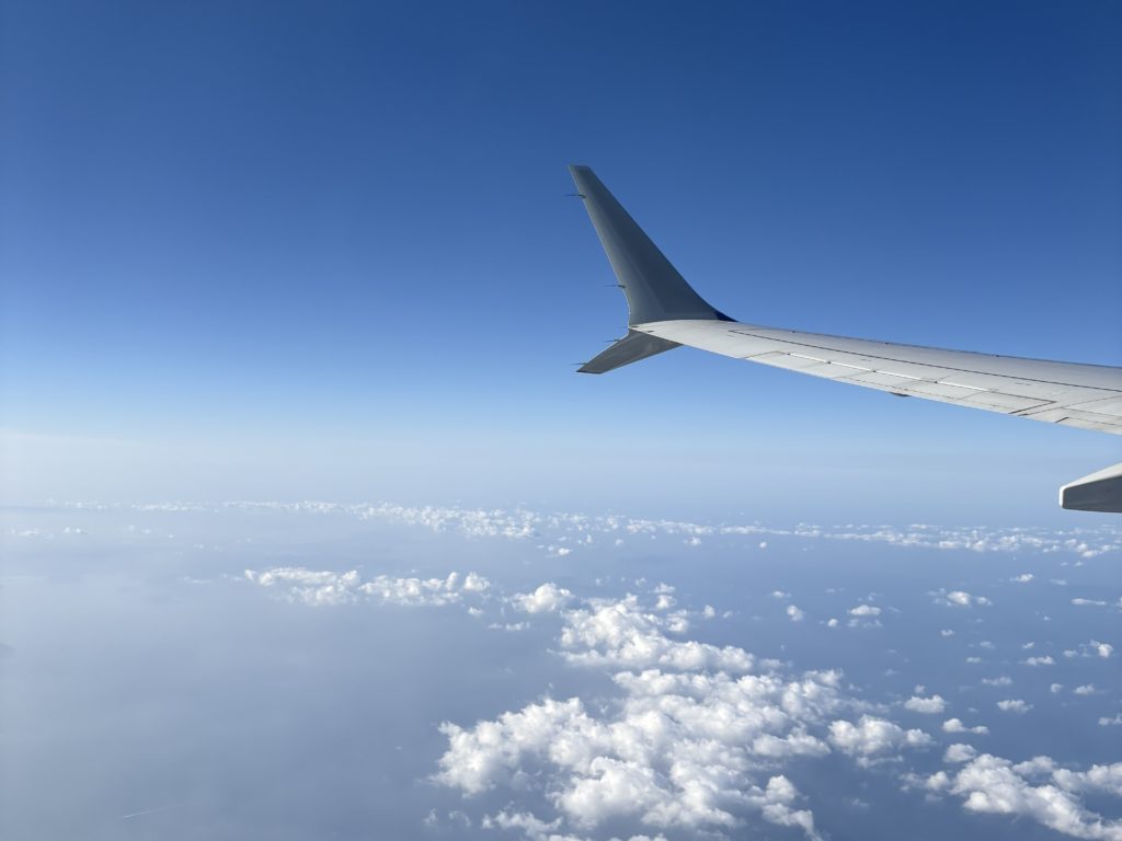 韓国研修  Day1.2🇰🇷